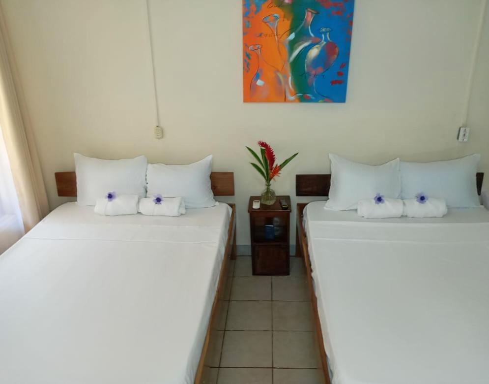 Cabinas Coco Alegre Exteriér fotografie