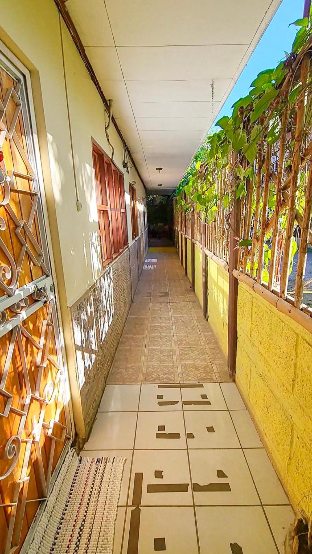 Cabinas Coco Alegre Exteriér fotografie